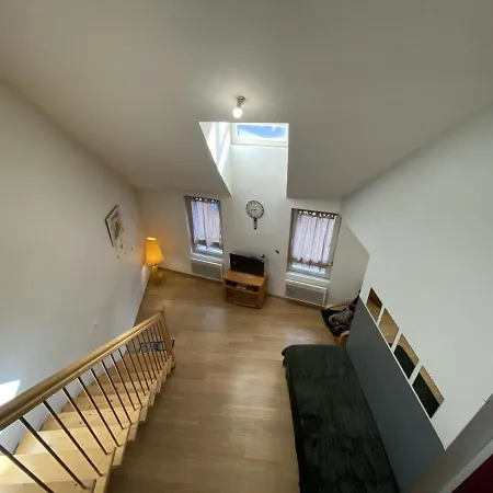Le Duplex Ruthenois, Centre 罗德兹