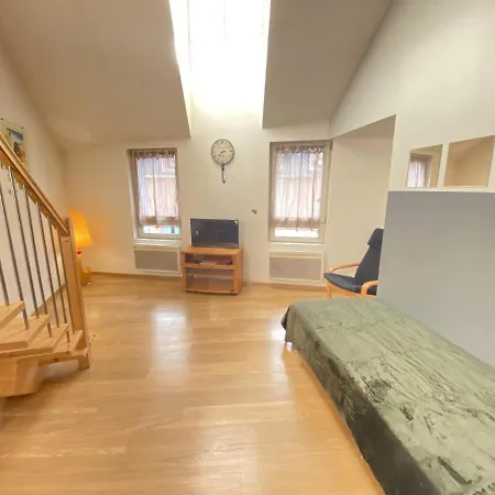 Le Duplex Ruthenois, Centre 公寓 罗德兹