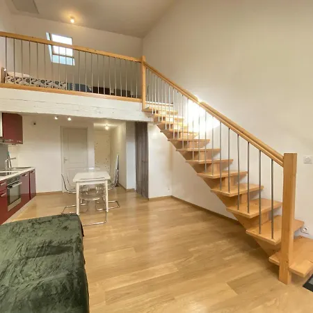 Le Duplex Ruthenois, Centre 公寓 罗德兹