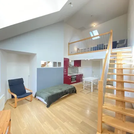 公寓 Le Duplex Ruthenois, Centre 罗德兹